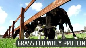 1776210505maxresdefaultjpg Lit Outlet